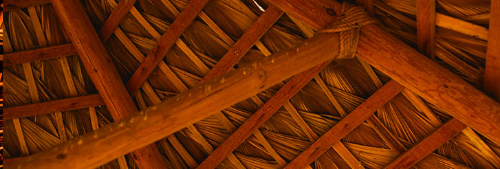 Mexican Thatch