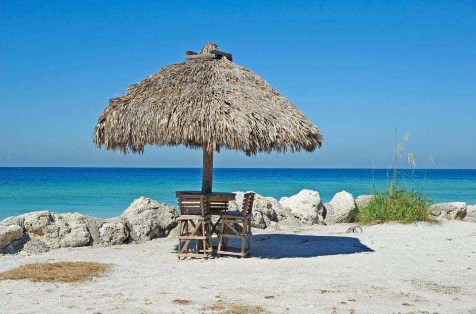 Add a Thatch Beach Umbrella to Your Business