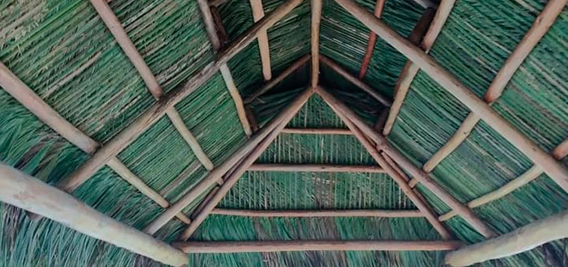 Palm Leaf Thatch Installed in Hut