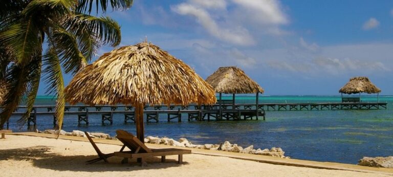 Tiki Hut Umbrella: Guide to Its Benefits, Types, and More