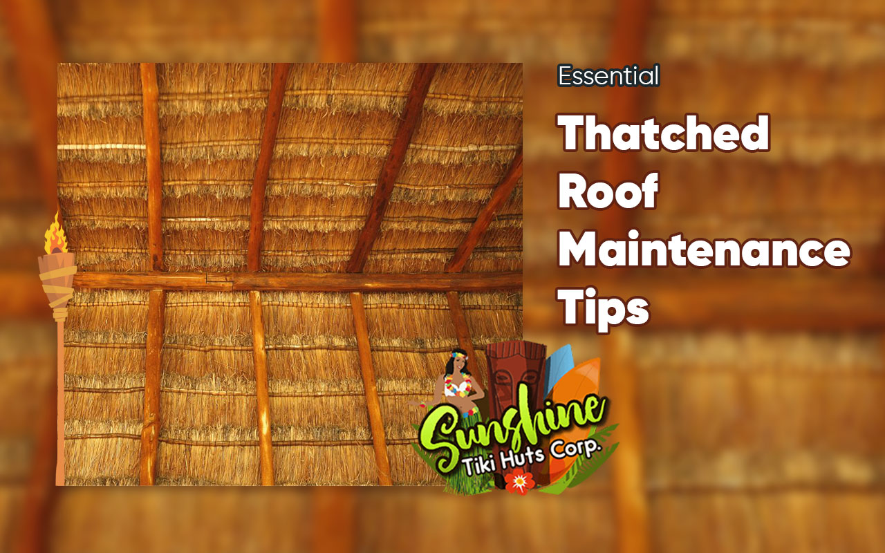 Essential Thatched Roof Maintenance Tips